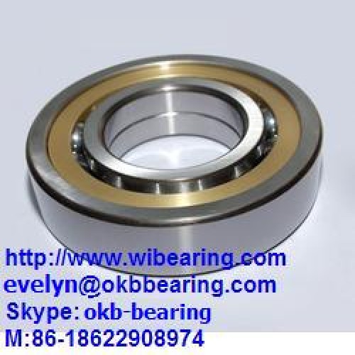 Fag 81196,thrust roller bearing,480x580x80,skf 81196,ntn 81196,81196